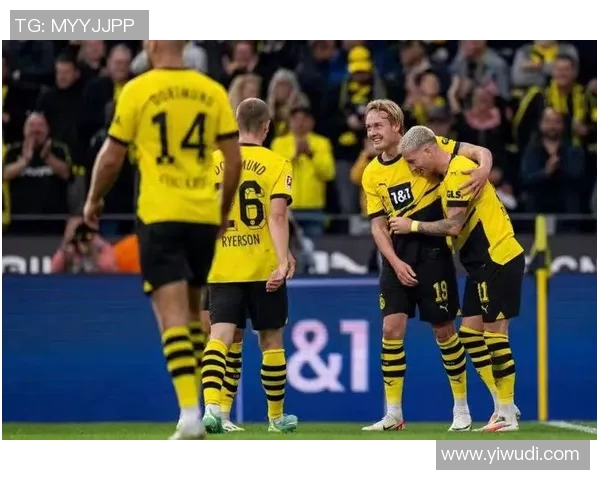 多特蒙德与不来梅精彩对决视频回顾及赛后分析