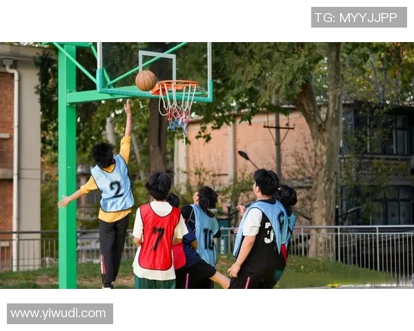 沈梓捷：从青年才俊到篮球赛场的璀璨明星之路与奋斗故事